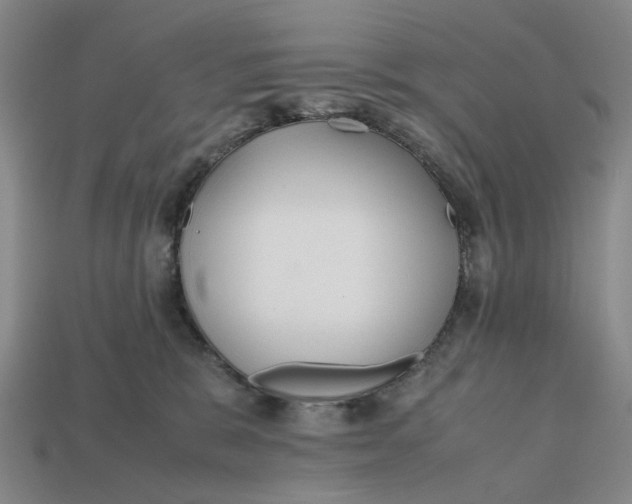 X0000112970327200909171323