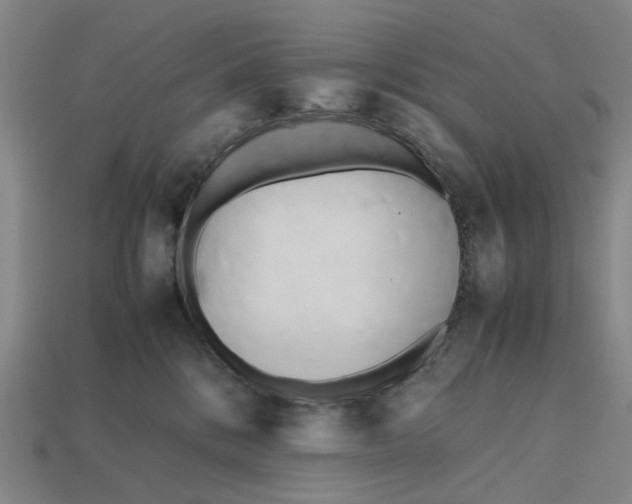 X0000112970328200909171323