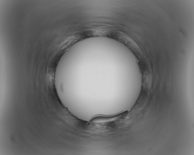 X0000112970329200909171323