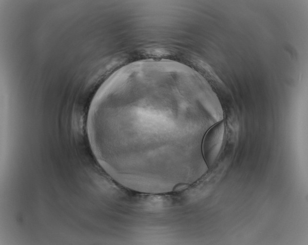 X0000112970330200909171323