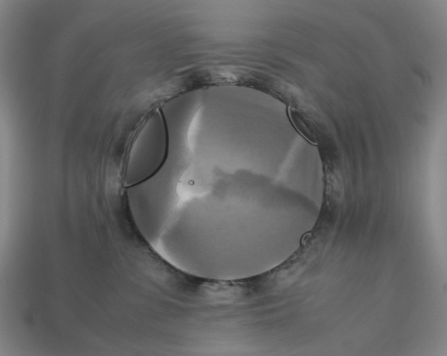 X0000112970331200909171323