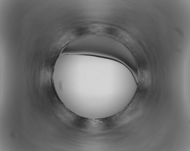 X0000112970333200909171323