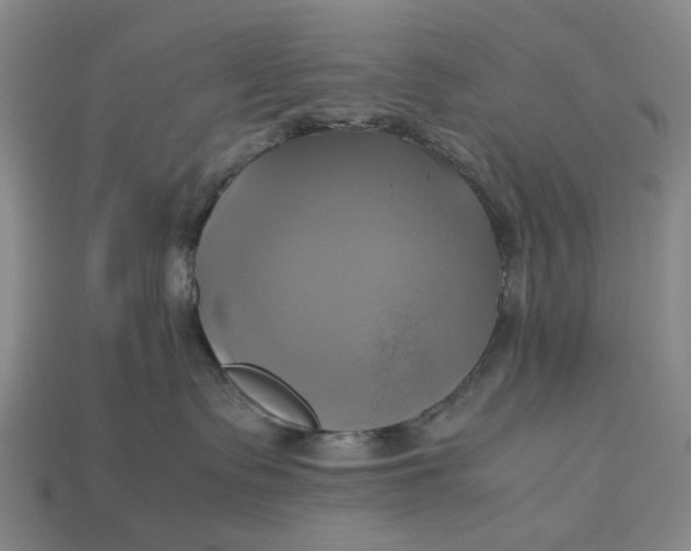 X0000112970335200909171323