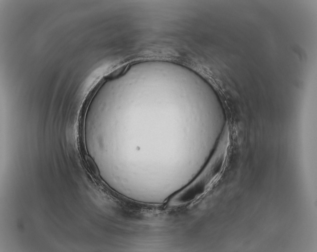 X0000112970340200909171323