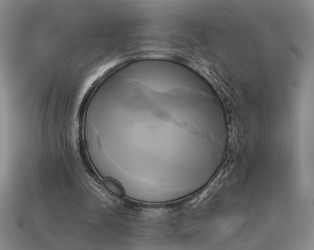 X0000112970342200909171323