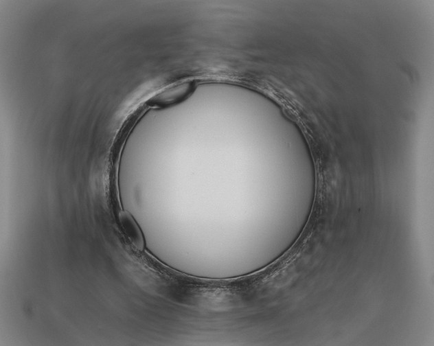 X0000112970344200909171323