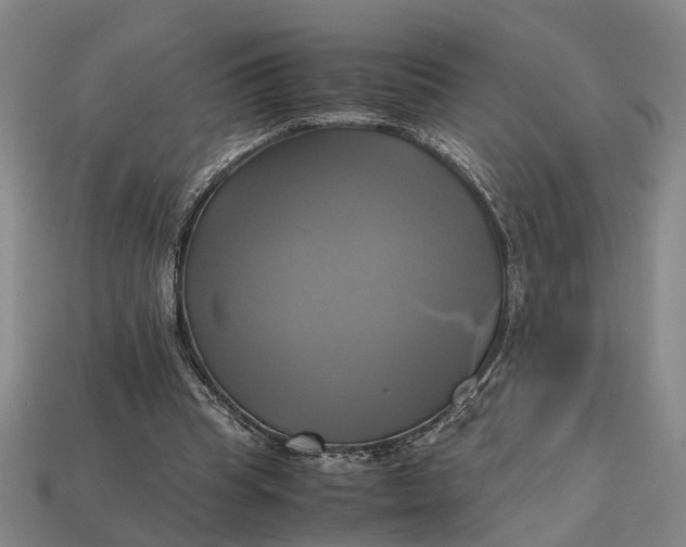 X0000112970345200909171323