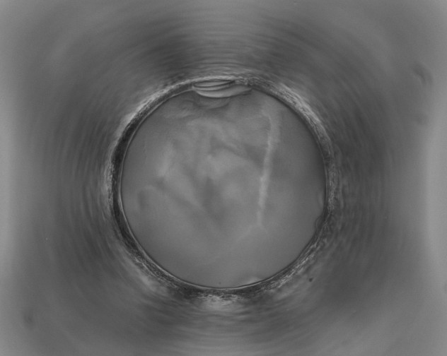 X0000112970346200909171323