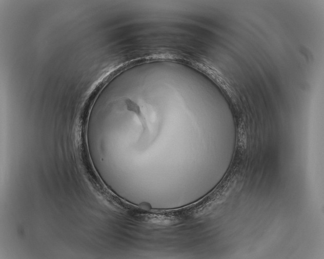 X0000112970347200909171323