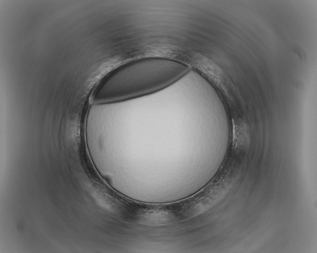 X0000112970348200909171323