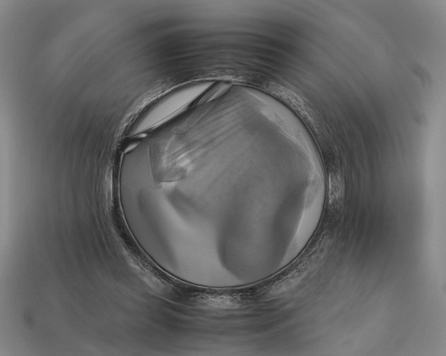 X0000112970349200909171323