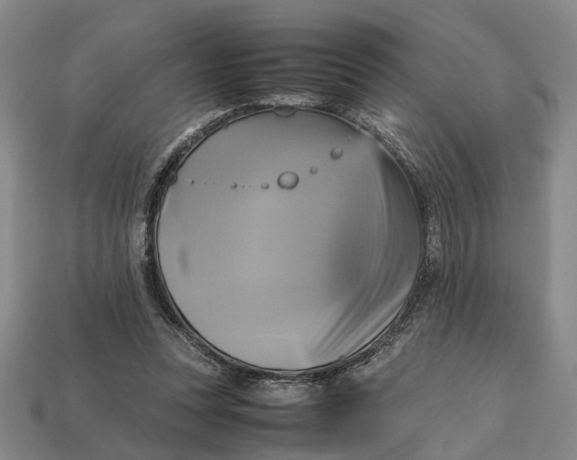 X0000112970351200909171323