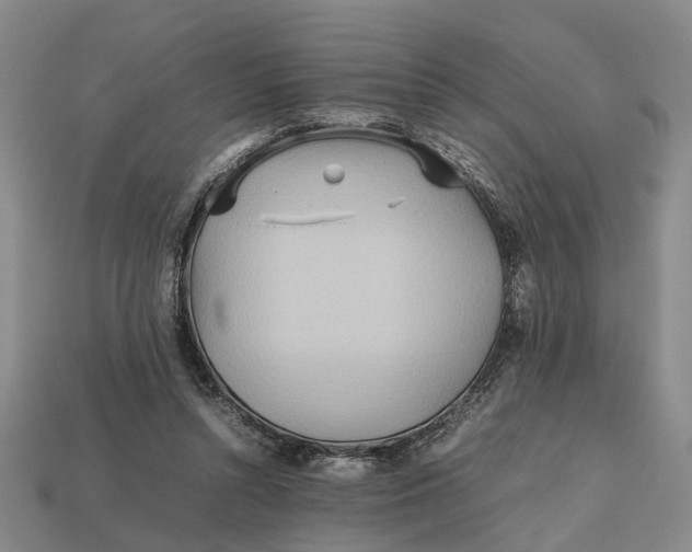 X0000112970352200909171323