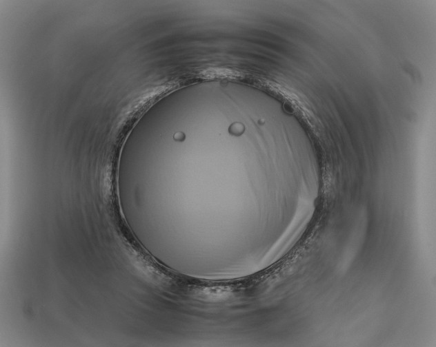 X0000112970353200909171323