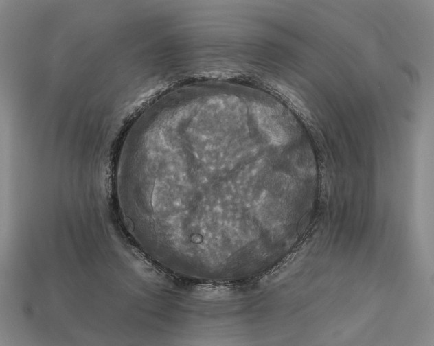 X0000112970354200909171323