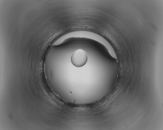 X0000112970356200909171323