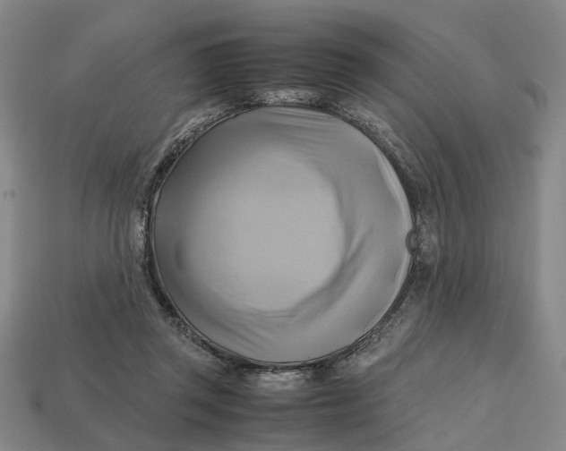 X0000112970357200909171323