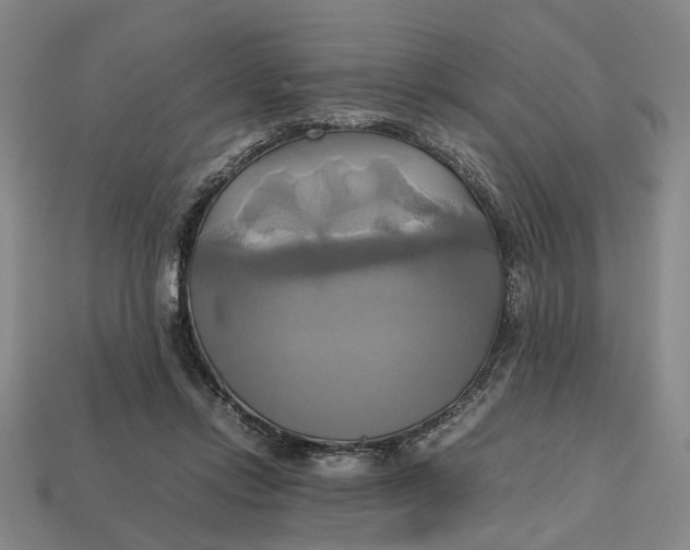 X0000112970358200909171323