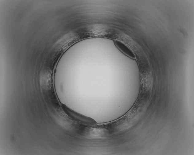 X0000112970360200909171323