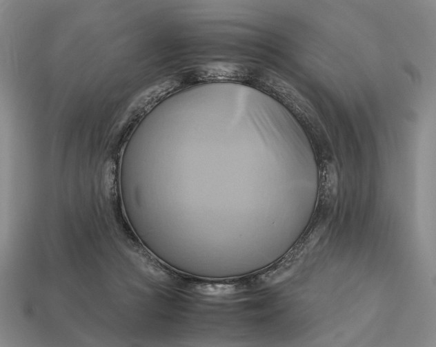 X0000112970361200909171323