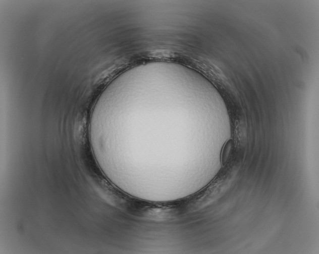 X0000112970364200909171323