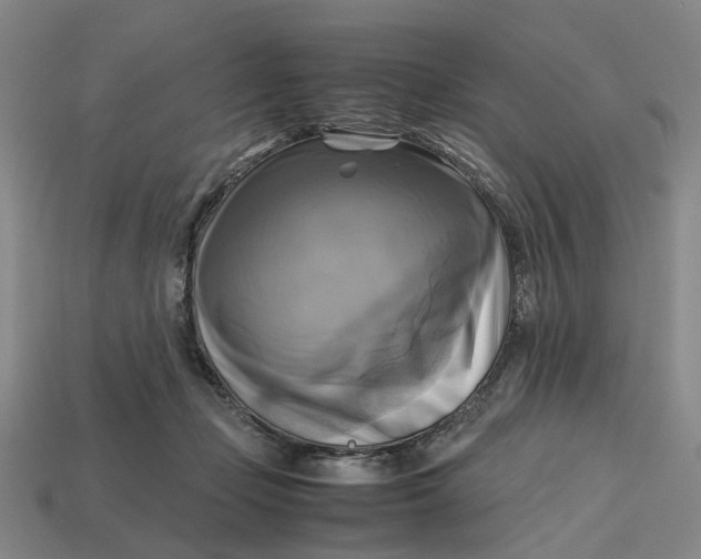 X0000112970365200909171323