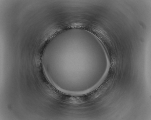 X0000112970367200909171323