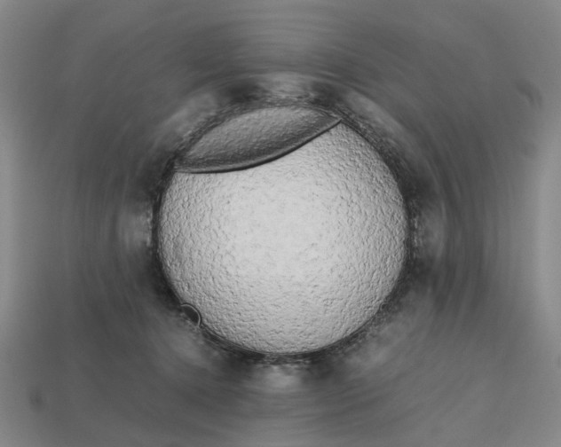 X0000112970368200909171323