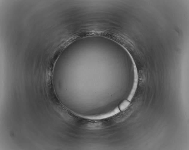 X0000112970369200909171323