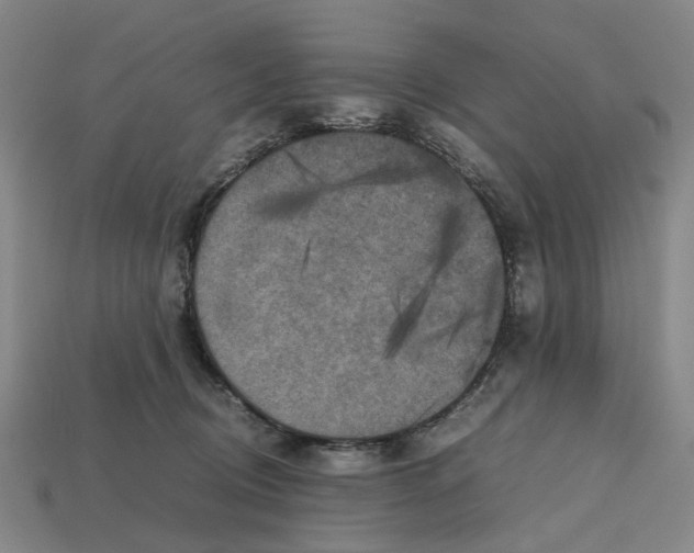 X0000112970370200909171323