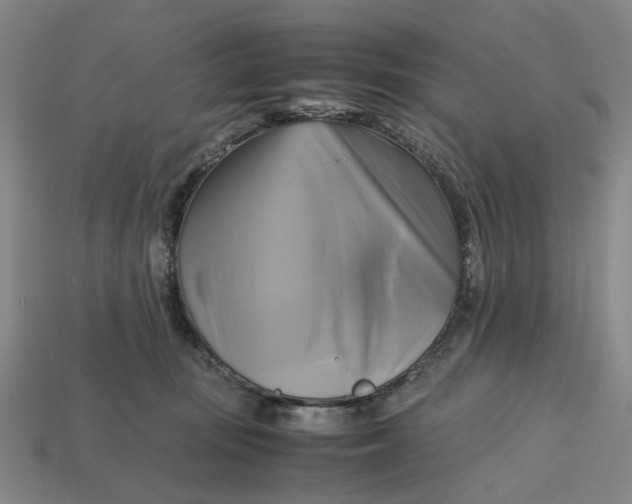 X0000112970371200909171323