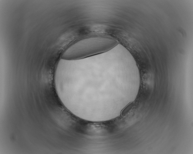 X0000112970372200909171323