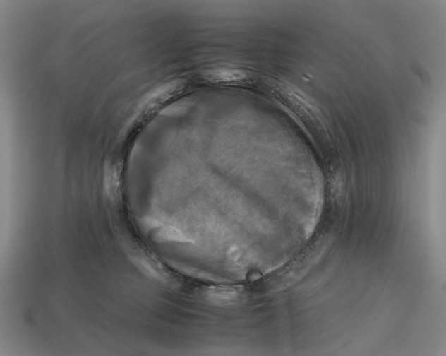 X0000112970373200909171323