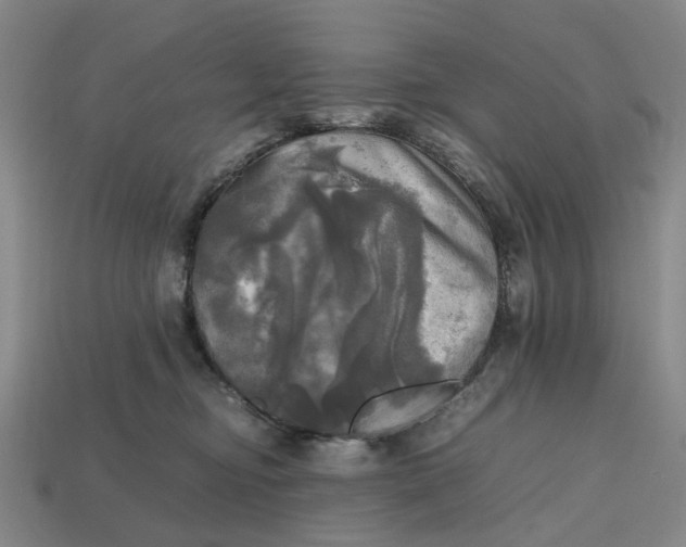 X0000112970374200909171323