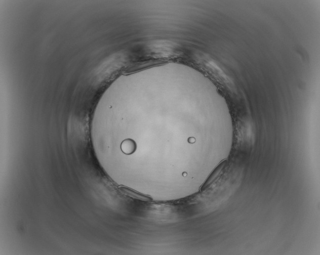 X0000112970376200909171323