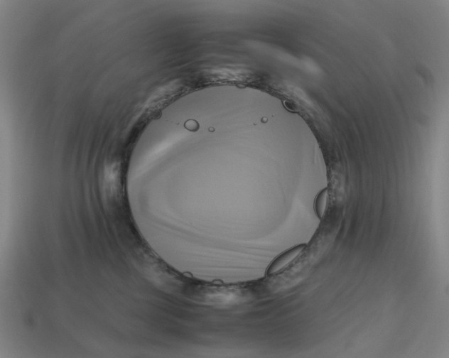 X0000112970377200909171323