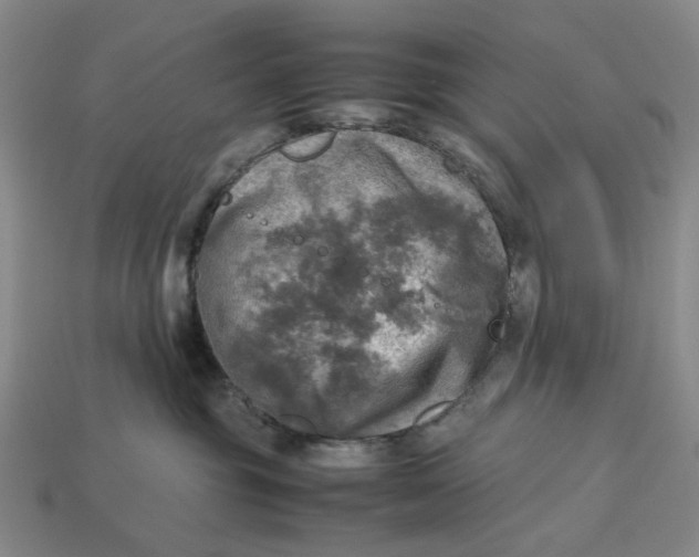 X0000112970381200909171323