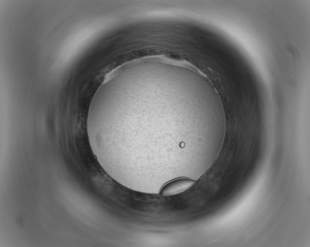 X0000112970382200909171323