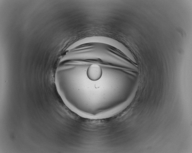 X0000112970384200909171323