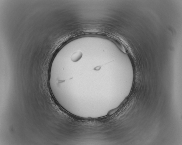 X0000112970385200909171323