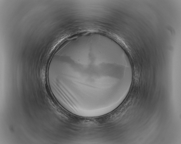 X0000112970386200909171323