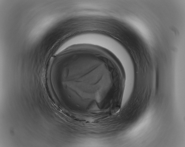 X0000112970387200909171323