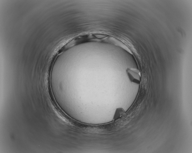 X0000112970389200909171323