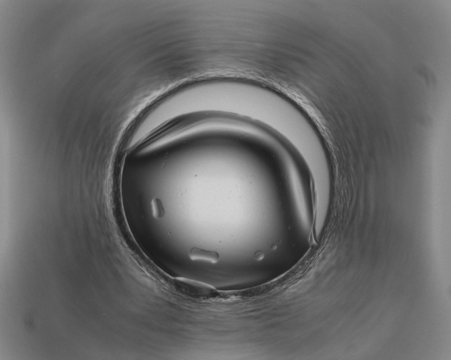 X0000112970391200909171323