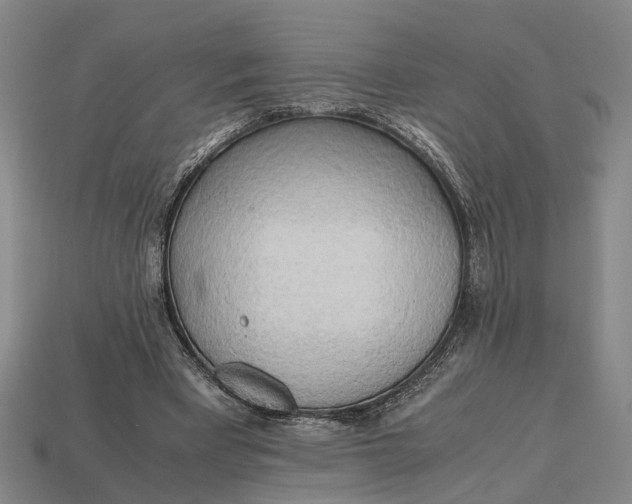 X0000112970393200909171323