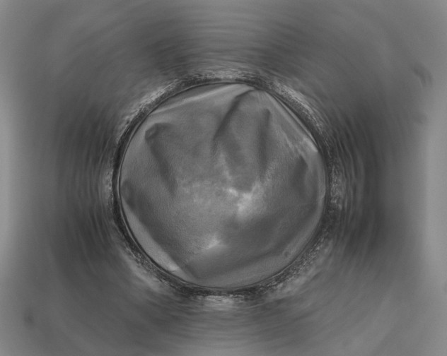 X0000112970394200909171322