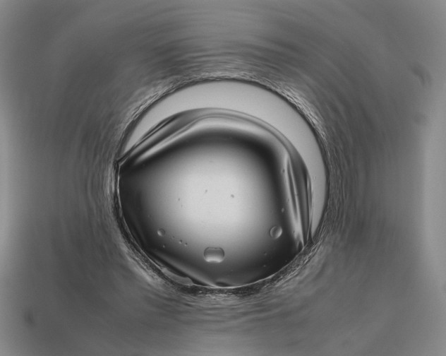 X0000112970397200909171322