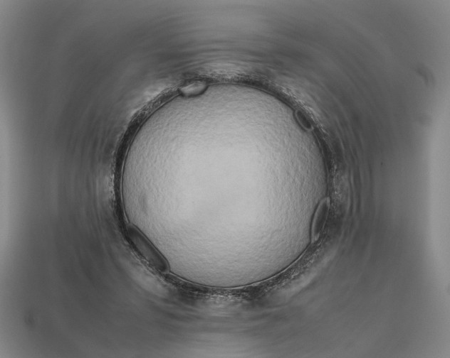 X0000112970399200909171322