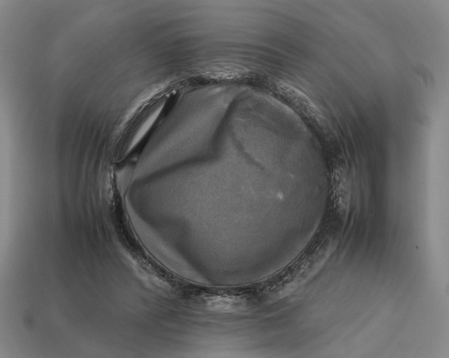 X0000112970400200909171322