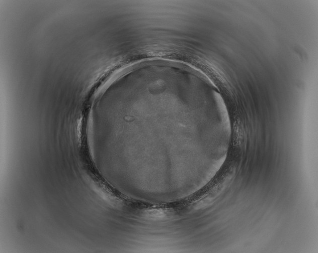 X0000112970404200909171322